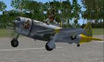 FSX/FS2004 P-47N-2-RE "Chautauqua" and P-47N-5RE"Icky and Me"