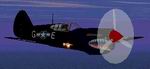 CFS
            1 Curtiss P-40E Warhawk USAF