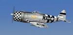 P-47D
                  "No Guts No Glory"