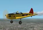 FS2004/FS2002 PT-19 RCAF Textures