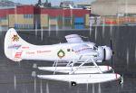 FSX/FS2004 DHC3 PZL Amphibian Christmas Textures