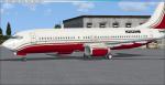 Default Boeing 737-800: N262HM Private Livery Gold and Grey Stripes Textures
