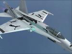 FSX Acceleration F/A-18 'Puma' Textures