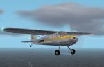 FS2004 Cessna 140  Textures