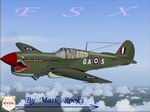 FSX
                  P- 40 Warhawk RAF 112 Sqn
