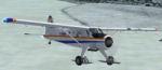 Aerosoft DHC-2 Beaver Skis RCMP Textures