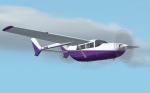 FS2004 Cessna Skymaster Textures (N574VS)