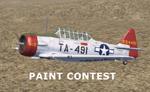 FS2004 SkyUnlimited Repaint Contest Templates