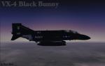 F-4 Phantom VX-4 Black Bunny