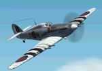 HAWKER
            SEA HURRICANE Mk.IIC (V1.1) for Combat Flight Simulator 2