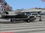 FSX/FS2004                  F-14D VF-211 Flying Checkmates Textures only