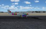 Cessna 172 "Spotted" Textures