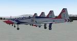FS2004
                    FSD T-38 16 Thunderbirds Textures only