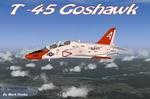  FSX T45 Goshawk US Navy 150th