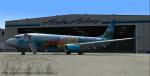 Boeing 737-800 - Alaska Airlines "Spirit of the Islands"