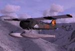 Aersoft DHC-2 Beaver Amphibian Textures