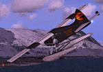 Aersoft DHC-2 Beaver Amphibian Textures