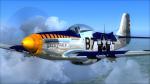 Texture-Mega-Pack for the Warbirdsim P-51D