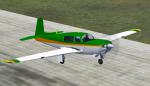 Default Mooney Bravo Green & White