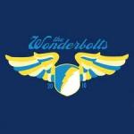 FSX Acceleration FA-18 Wonderbolts Textures