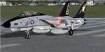 FSX/FS2004
                    Grumman F-14D Tomcat Textures Package (revised)