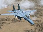 FS2004
                  "Jolly rogers" F-14 Tomcat Repaint Textures Pack