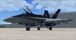 FSXBA/ P3D F/A-18C CVW-8 Textures