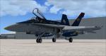 FSXBA/ P3D  F/A-18C CVW-8 Textures