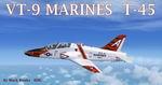 T-45 Goshawk VT-9 MARINES Tiger Paint