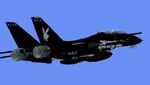 FS2004
                  Grumman F-14B Tomcat in the VX-4 "Black Bunny" Textures Only.
                  