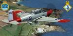 FS2004/FSX                     De Havilland Chipmunk 771 NAS & HMS Seahawk Station Flight                     Textures only