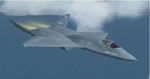 FS2004
                  YF-23A Update 2