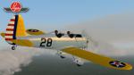 FSX Ryan ST