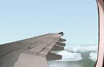 FS2000
                  Airbus A300-600 wing views 