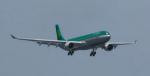 Aer Lingus A330-300 Old Livery (Package)