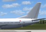 FSX/P3D Adam Air Boeing 737-400 Textures