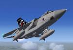 UKMil Tornado RAF ADV 25th Anniversary Textures