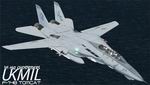 FS2004
                  USN F-14B Tomcat BuNo 162915 / AG204 Textures only 