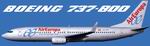 FS2002/2004
                  Air Europa Boeing 737-800