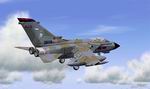 FS2004                   Tornado GR1 RAF 617 Sqn Textures only