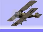 CFS1
            Albatros D.II.