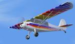 FS2004
                  L16A Aeronca Christen Eagle White Textures only