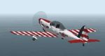 TRIBUTE
                  TO ART SCHOLL - Aerobatics Super Chipmunk for FS2000.