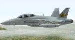 FS
                  2000 McDonnell Douglas AF-18/A Hornet R.A.A.F. A21-101