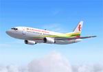 FS2004                  Lithuanian Airlines Boeing 737-300 Textures only