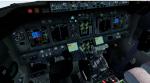 FSX/P3D Boeing 737-800 Bees Airline package