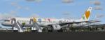 FSX/P3D  Boeing 757-300 Condor 'Wir lieben Flagen' package