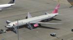 Boeing 767-400/ER Delta Breast Cancer Awareness Package