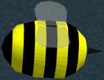 Cooper's
                  Bee