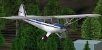 FS2000
                  - Piper Super Cub "BlueCub"